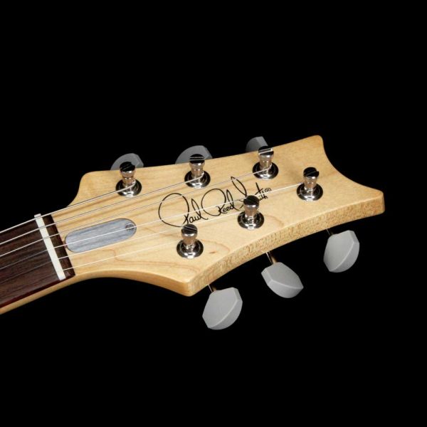 PRS Silver Sky John Mayer Signature Frost Online now