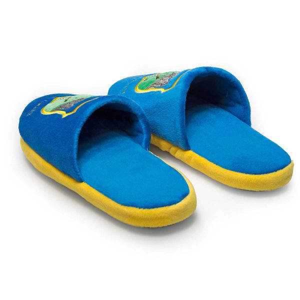 FOCO Ireland Tipperary Kids Slippers Discount