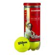 Wilson Championship Tennis Balls - 4 Can Online now